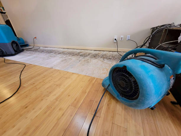 Reliable Basement Flood Cleanup contractor in Norwalk, CT by Hirex Water Damage