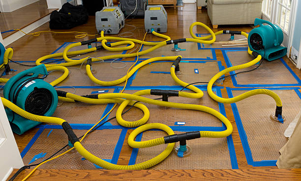Professional Basement Flood Cleanup technician working in Norwalk, CT